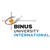 Binus University International